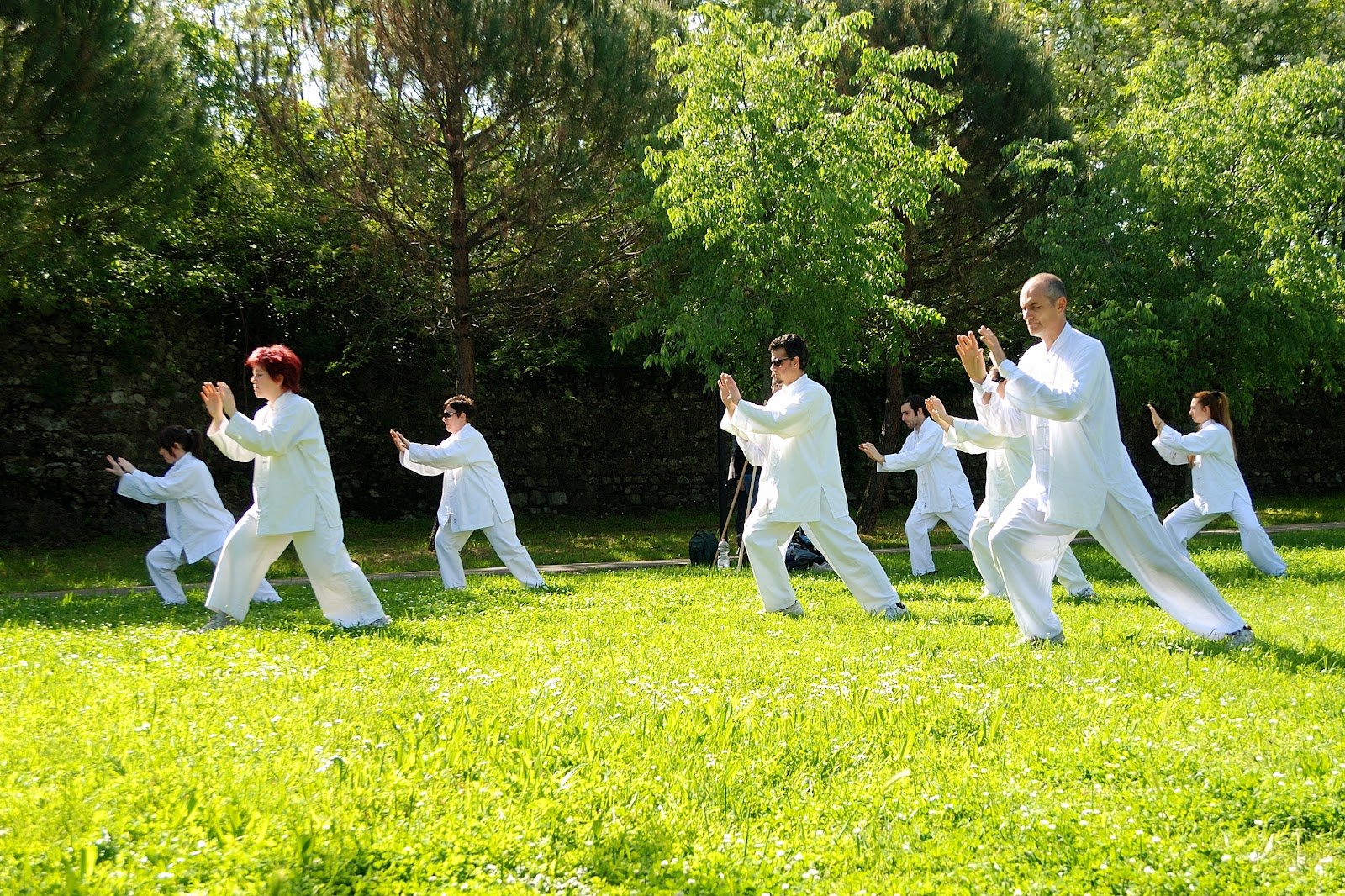 The Essential Guide to Tai Chi